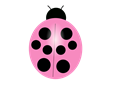 Pink Ladybug
