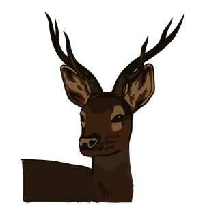 Vintage Deer Head