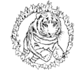 Circus Tiger with Hoop