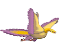 Archaeopteryx 2
