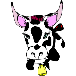 Cow 36
