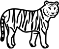 tiger 4x b/w