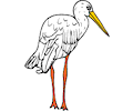 Stork 04