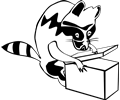 Raccoon opening box