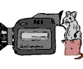 Video Camera & Mouse