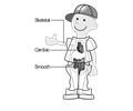 58294main The.Brain.in.Space page 52 body transparent kid