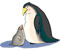Penguin 17