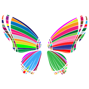 RGB Butterfly Silhouette 10