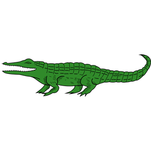 Crocodile 4