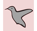 Hummingbird 02