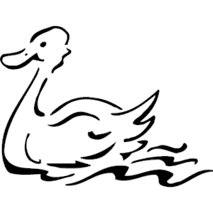 Duck 021