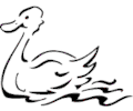 Duck 021