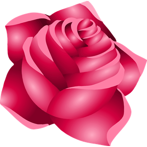 Rose 22 (red)
