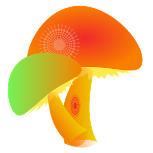 hallucinogenic mushrooms