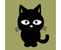 Blackcat-animation