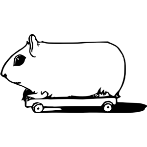 Skateboarding guinea pig