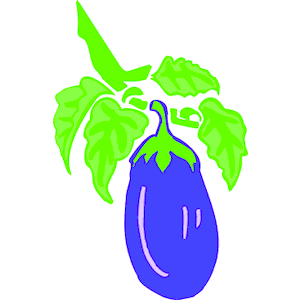 Eggplant 08
