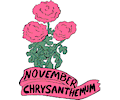 11 November-Chrysanthemum