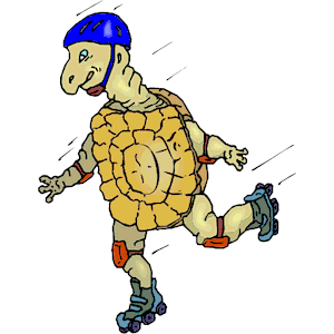 Tortoise Skating
