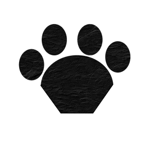 Black Cat Paw