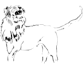 Lion Roaring 1
