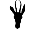 Springbok head silhouette