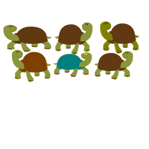 Group Of Turtles