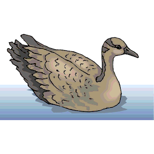 Goose 16
