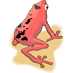 Frog 029