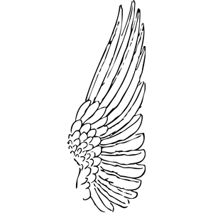 wing clipart, cliparts of wing free download (wmf, eps, emf, svg, png ...