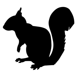 Squirrel Silhouette 2