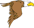 Eagle 18