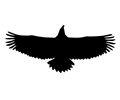 Eagle Wingspan Silhouette