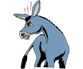Donkey 003