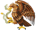 Golden eagle with snake