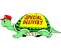 Special Delivery Turtle