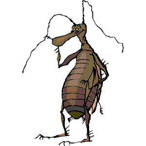 Bug 11