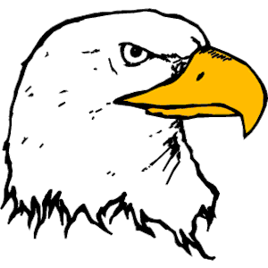 Eagle 26