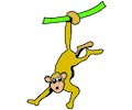 Monkey Hanging by Tail
