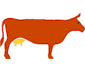 Cow 01