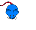 Blue Mouse Red Tail