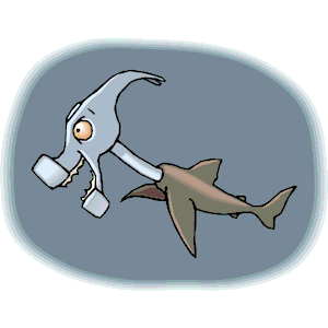 Shark Hammerhead