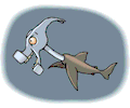Shark Hammerhead