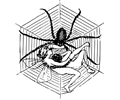 Fairies in a Spider Web