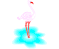 Flamingo 12