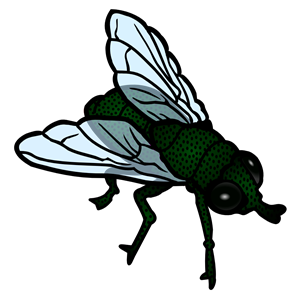 fly - coloured