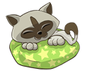 Kitten Sleeping On Starry Pillow