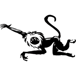 Monkey 07