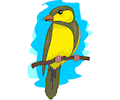 Goldfinch 3