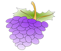 grapes 01